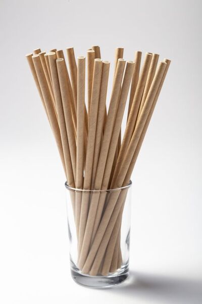 Paper Straws