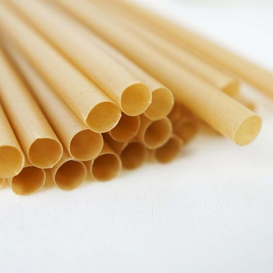 Compostable Series - Wheat Fiber Straws